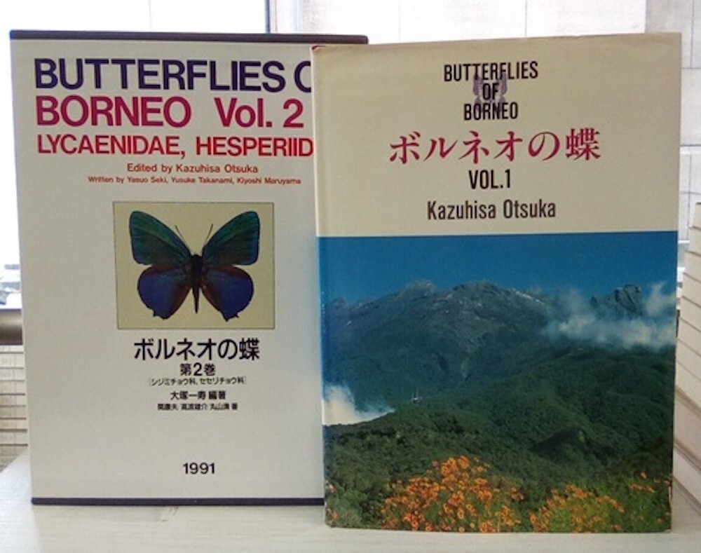 ボルネオの蝶 第2巻　Butterflies of Borneo, vol.2 Amazon.co.jp: ボルネオの蝶 第2巻/シジミチョウ科