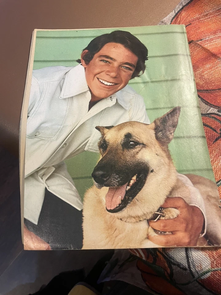 Tiger Beat Magazine DEc 1970 Partridge Family David Cassidy Barry Williams Foto 2 de 4