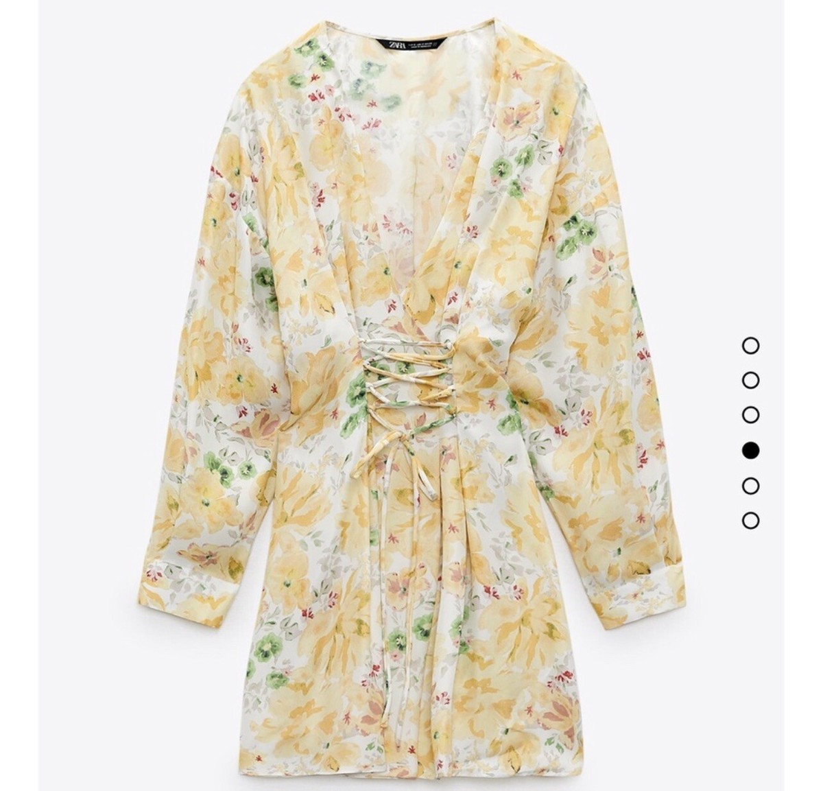 Zara Floral Print Dress