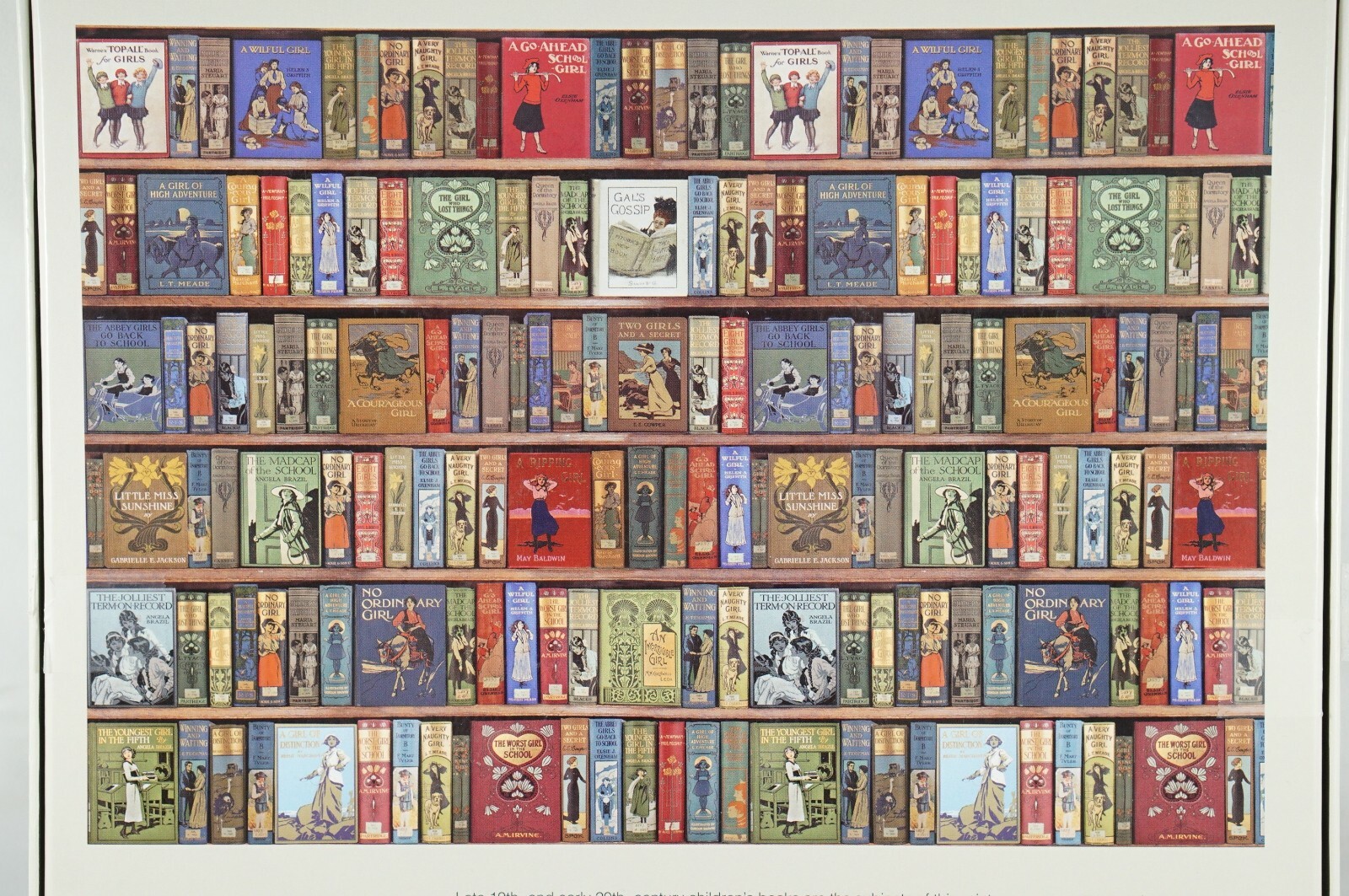 Adult Jigsaw Puzzle Bodleian Library High Jinks Bookshelves 1000