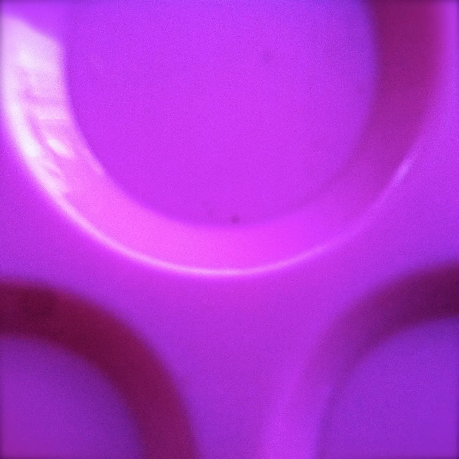 Picture 11 of 12