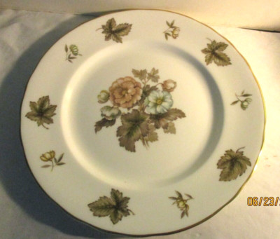 ROYAL  WORCESTER  DORCHESTER   10 1/2 '' BONE CHINA DINNER PLATES  UNUSED