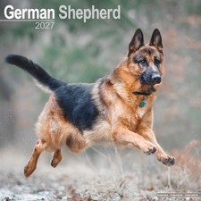 German Shepherd 2027 Calendar | Dog Breed Gift Wall