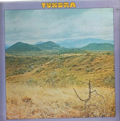 Chris Staintons Tundra Tundra NEAR MINT Line Records Vinyl LP