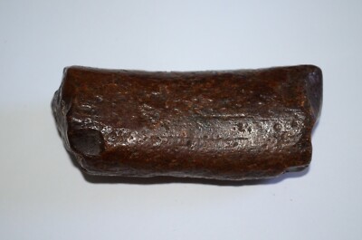 Fossil Rib Bone Prehistoric Fossilized Cooper River South Carolina 3.25'' 4.4 oz