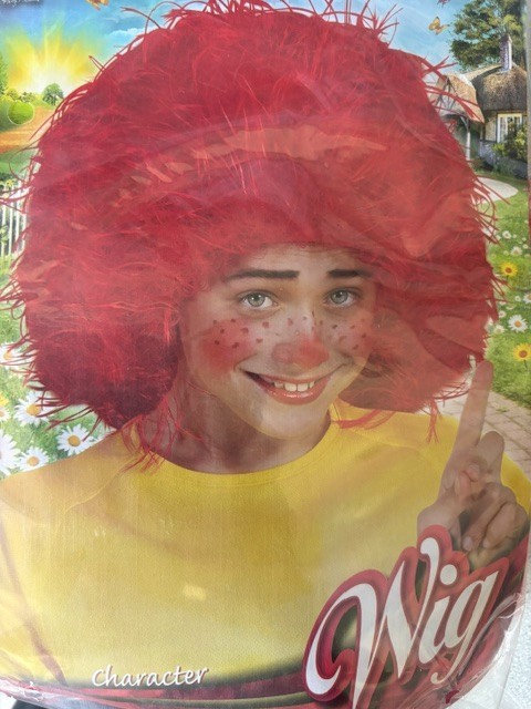 CHILDS  RED CLOWN WIG FOR DRESS UP & HALLOWEEN SCARY STYLE WIG