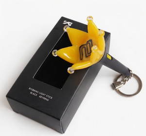 Bigbang Lightstick | eBay