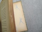 Bild 8 von 10