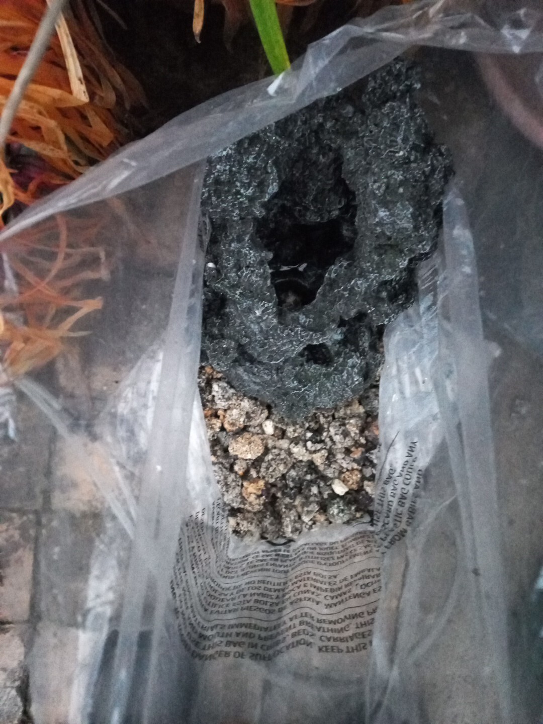 bio orb fish tank 60l complete set up. eBay