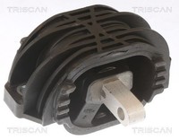 Triscan Lagerung, Automatikgetriebe 8505 11207 FüR BMW