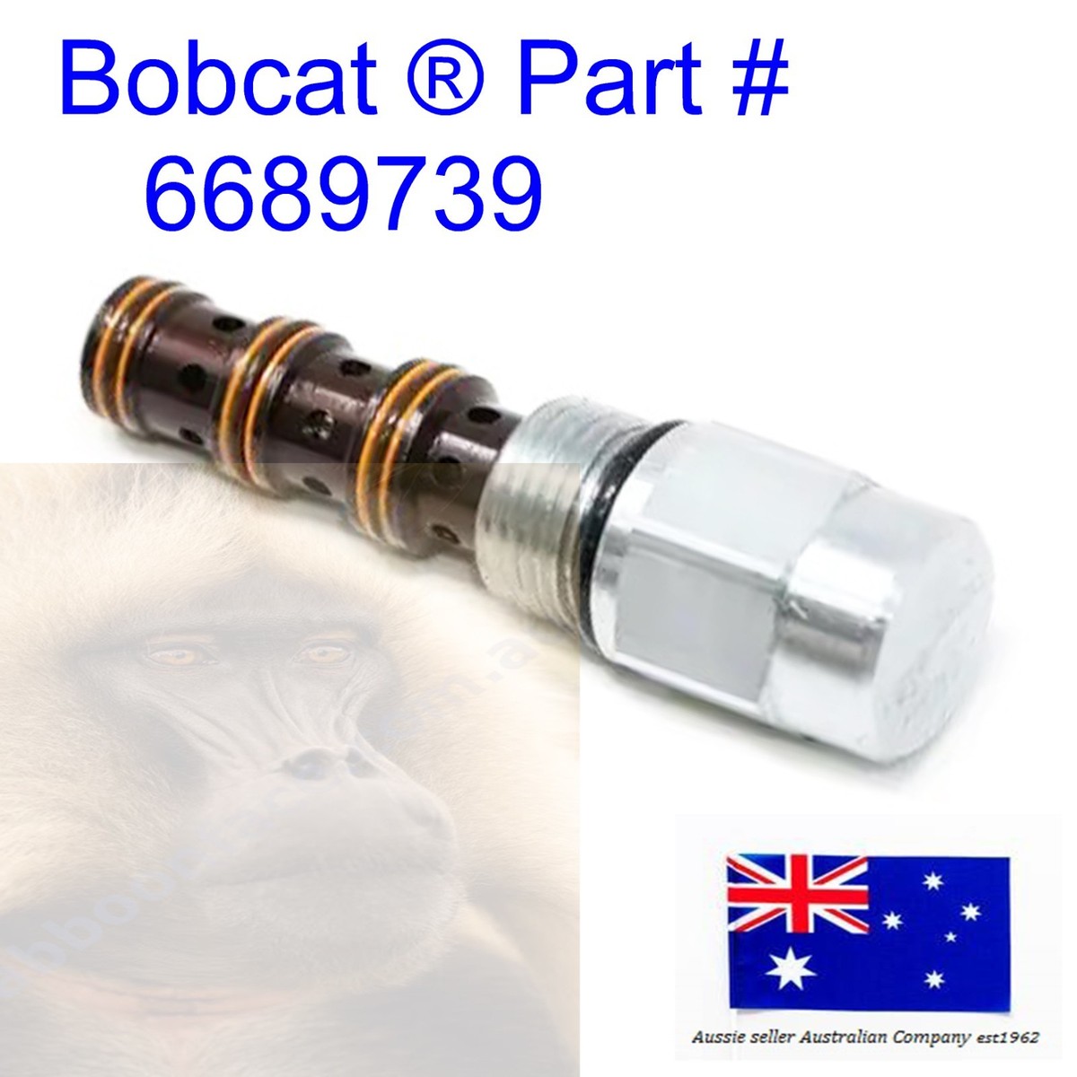 Bobcat BICS Pilot Operated Valve 6689739 6668765 OEM 463 653 751