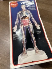 Vintage Skilcraft 74623 The Visible Woman Anatomy Figure Plastic Model Kit