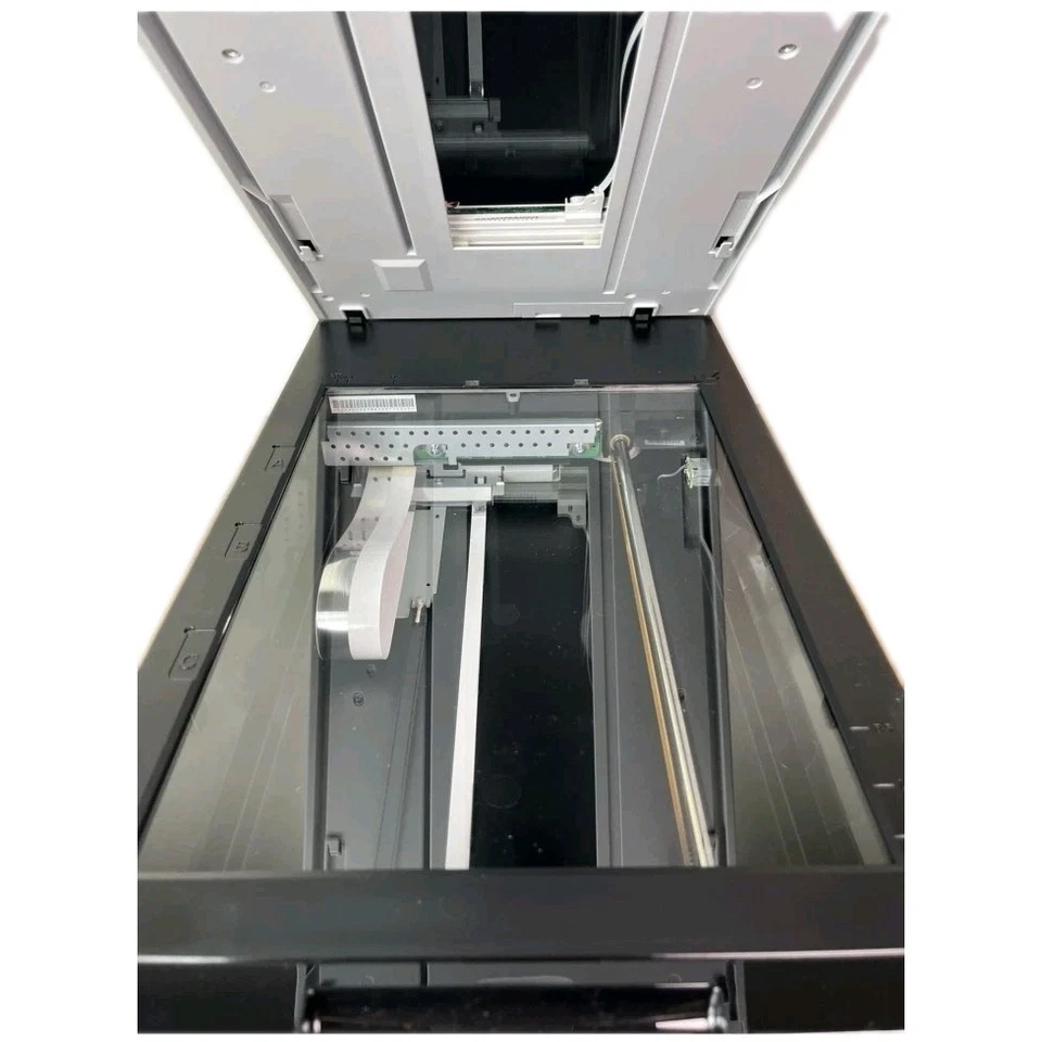 Epson Perfection V600 Scanner Fotografico a Colori - Nero - Immagine 4 di 4