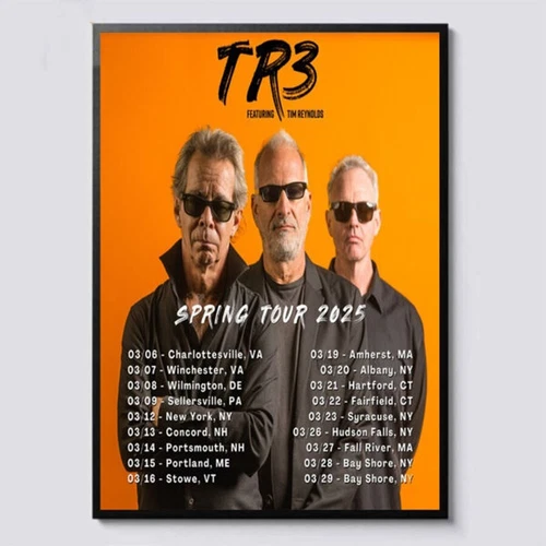 Dave Matthews Band Spring 2025 Tour Dates Home Decor Poster