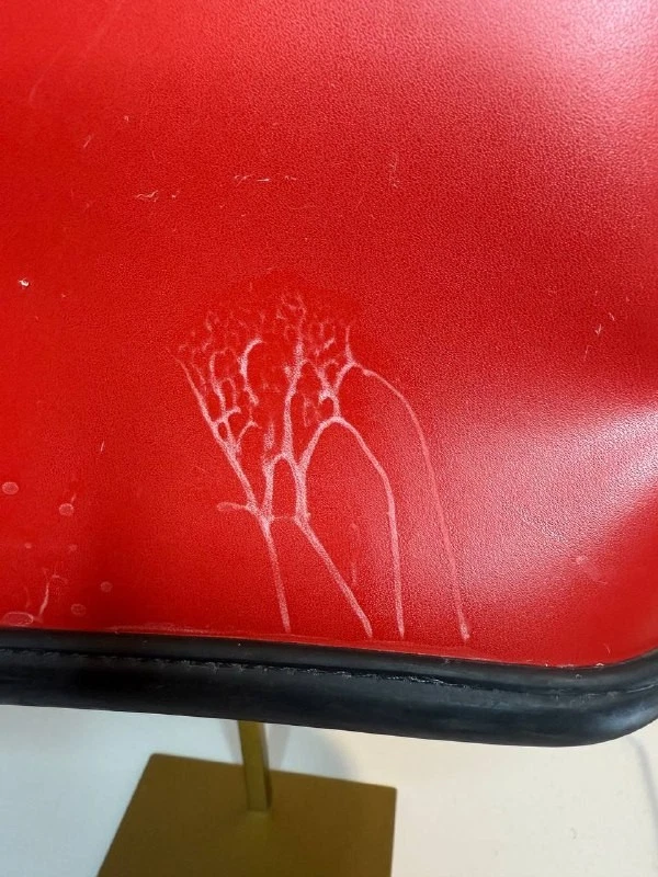 Dooney & Bourke Red Parasole Polished Leather Essex Tote – Vintage Classic - Image 3 of 4