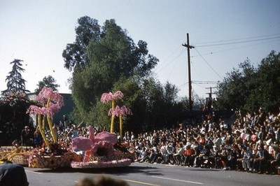 Parade Float Pink Decorations, Street, Trees - Vintage Photo 35mm Slide