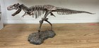 Discovery Kids T-Rex Skeleton — photo 1