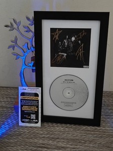 LP Into the Wild | eBay