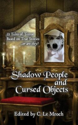 Shadow People And Cursed Objects: 13 Tales Of Terror Based On True Stories ...