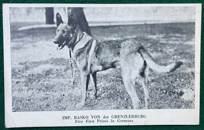 Von Stephanitz German Shepherd Name Origin German Shepherd Puppies