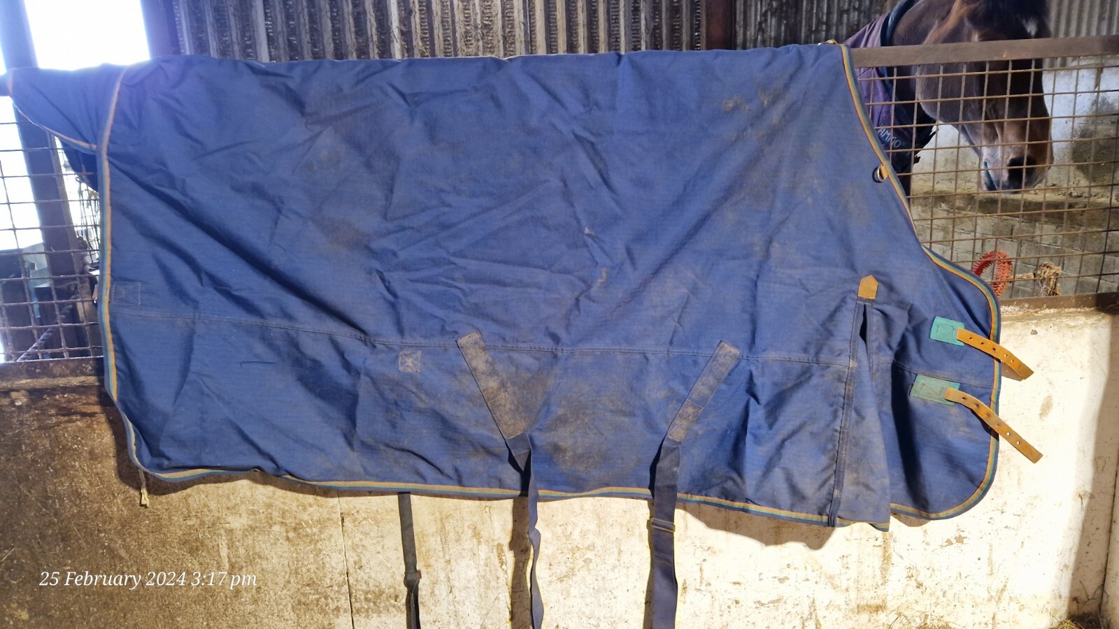 6 horse Rugs Joblot Includes Postage (FALPRO/COLIN COOK/RAMBO/SHIRES