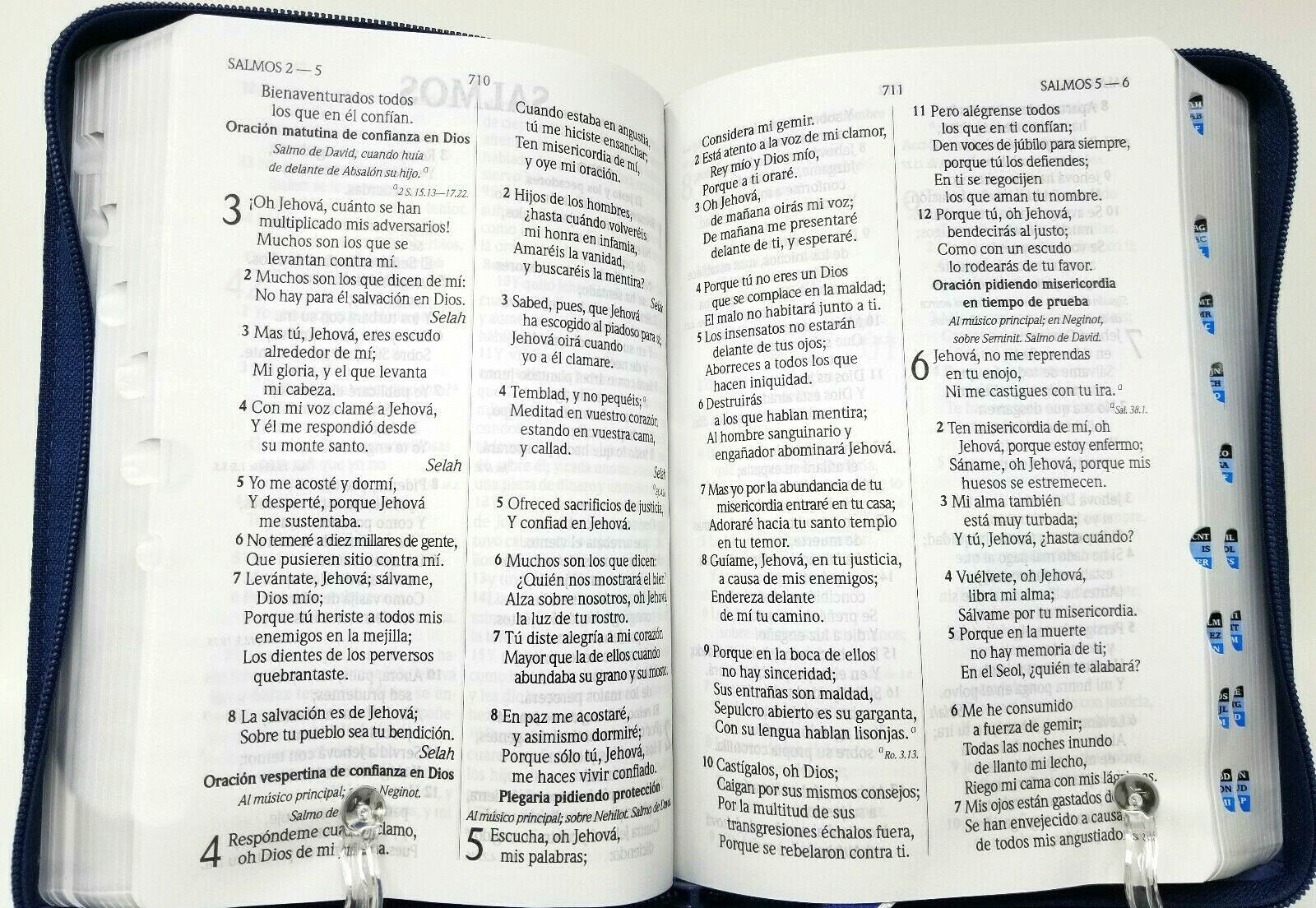 Imagen 3 de 6