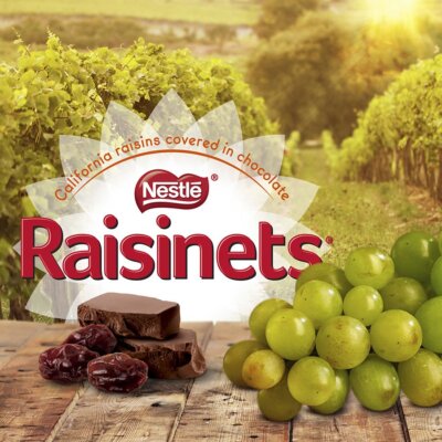 NESTLE RAISINETS MILK OR DARK CHOCOLATE COVER CALIFONIA RAISINS-PICK YOUR FLAVOR