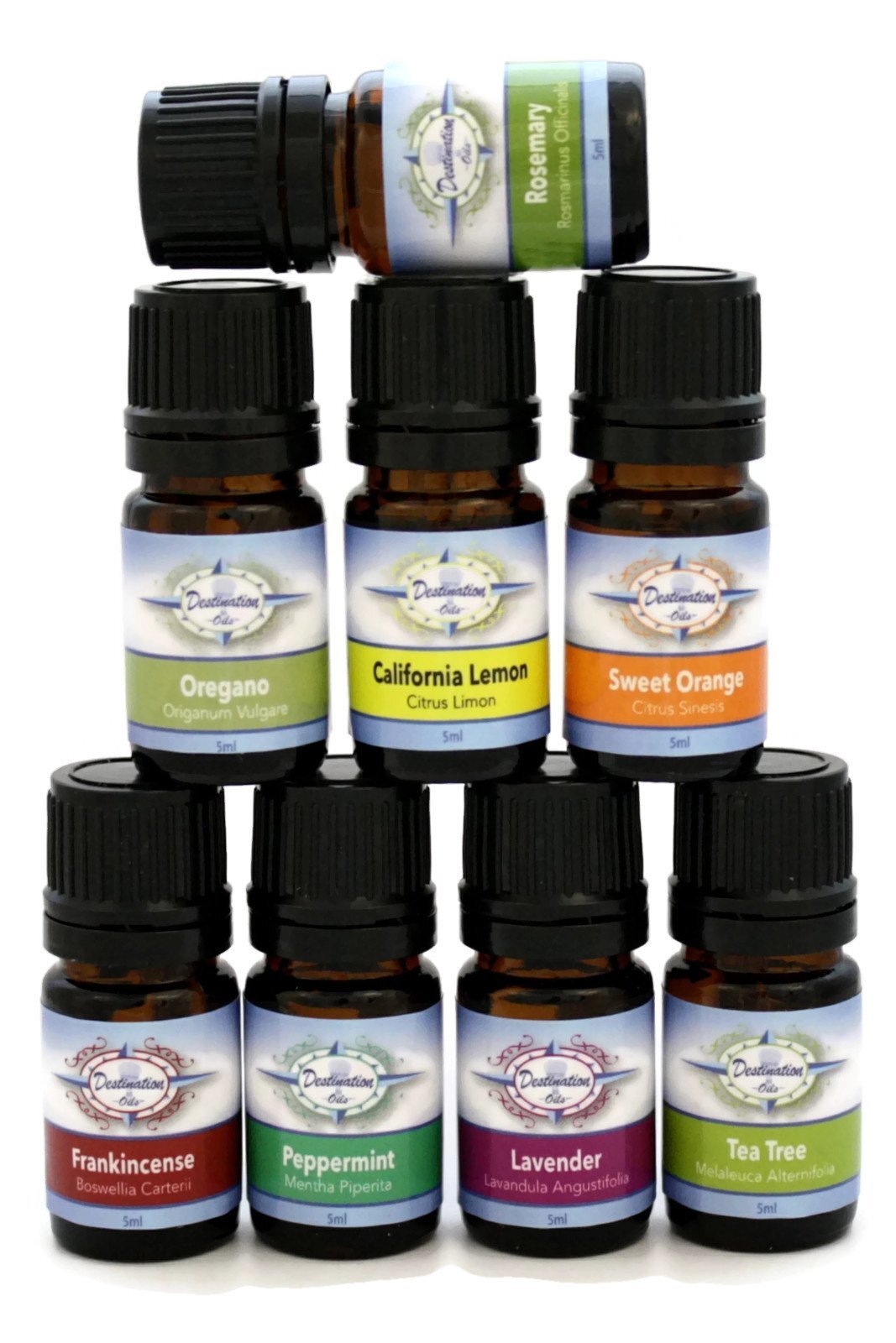S For Beginners- 5ml