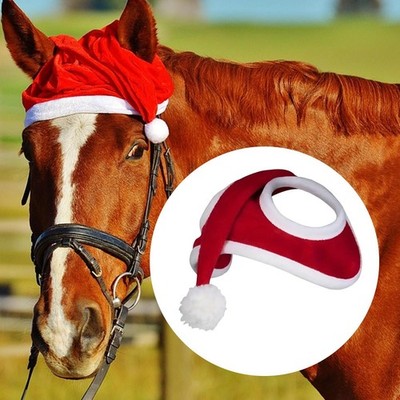 Weihnachtsmütze zum Reiten süß Winter Urlaub Bauernhof Foto Xmas Outfit Kleid