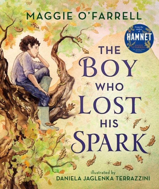 The Boy Who Lost His Spark by Maggie O'Farrell (Hardback Book)