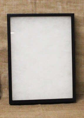 Collector's Display Case: 12 x 16x 2'' (Riker Type) - Package of 1 