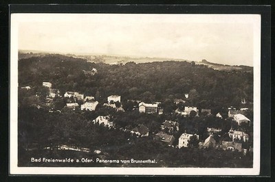 Postcard Bad Freienwalde a. Or, panorama of Brunnenthal 