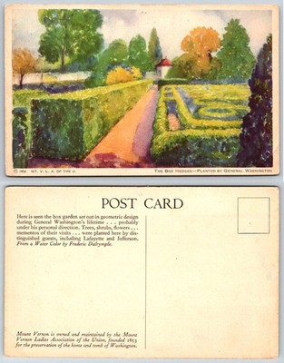 Box Hedges Planted by General Washington Mount Vernon VA Postcard Dalrymple 1934