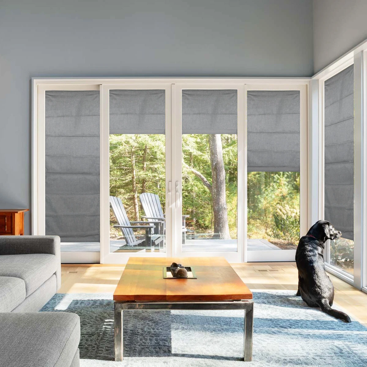 Blackout 2024 roman shades