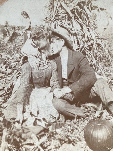 Antique Young Couple Kissing In Pumpkin Patch Collie Dog Stereoview SV Photo - Picture 1 of 3