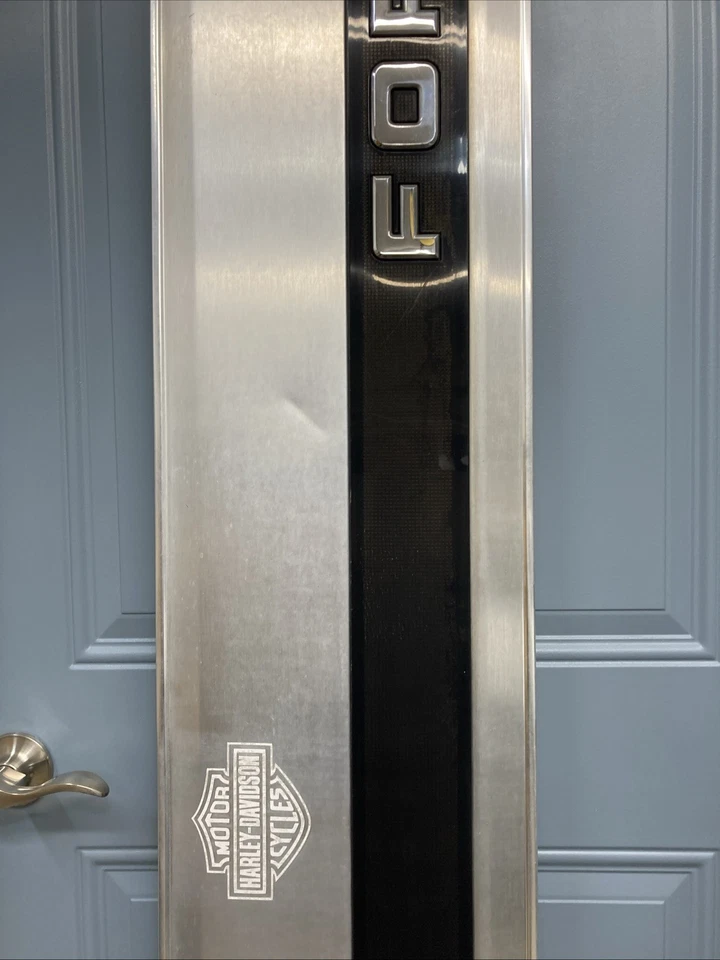 92-96 FORD F150 F250 F350 TAILGATE TRIM PANEL OBS FORD F150 F250 TAILGATE TRIM Foto 3 de 4