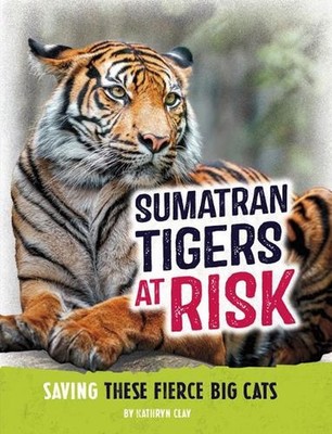 Sumatran Tigers at Risk: Saving These Fierce Big Cats by Kathryn Clay Hardcover 