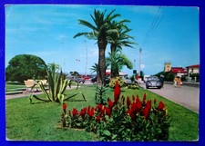🔵 CARTOLINA FOTO MARINA DI MASSA GIARDINI AUTO MAGGIOLINO 1963 🤣