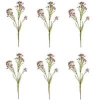 6Er Set KüNstliche Wachsblumenzweige Lila H. 78Cm Emerald Kunstblumen