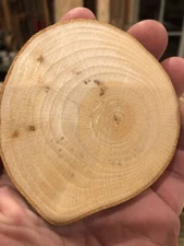 25 ct. 2.5” Diameter Beech Wood Cookie Slices Rounds Live Edge wedding ornament