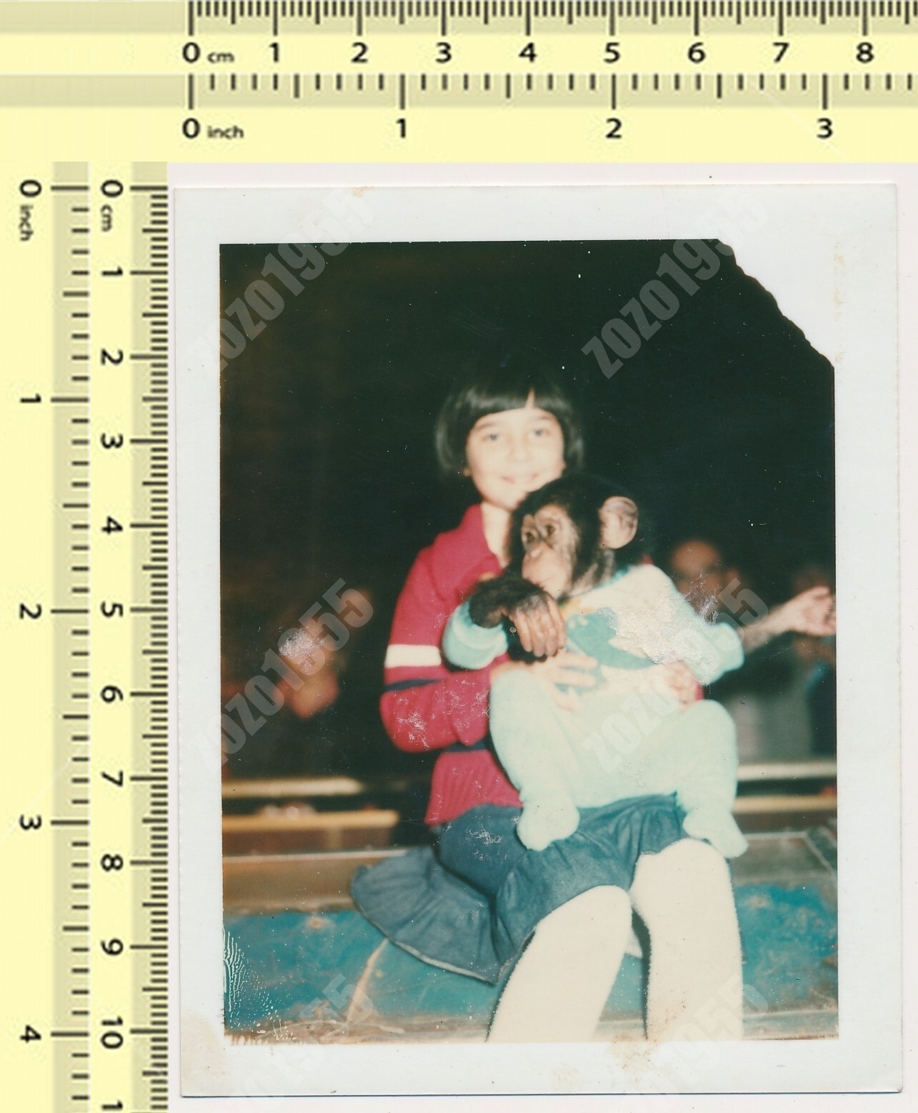 Girl with Baby Chimp Chimpanzee Circus Kid Child INSTANT PHOTO vintage original