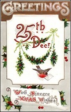 A2330 Greetings Christmas 25th Dec Red Robin BB Brown Burton Dentists BBpostcard