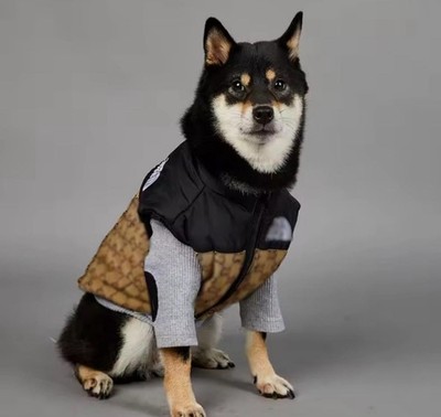 Luxury-Inspired Dog & Cat Check – Gucci The North Face Style