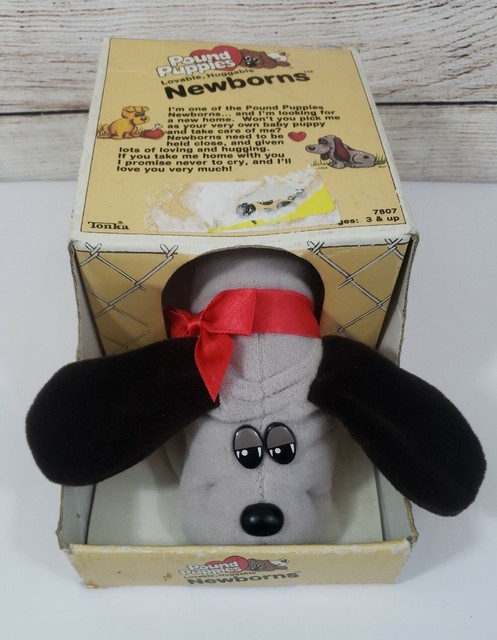 russell stover teddy bear