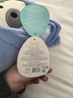 pj 8" claire's special edition squishmallow — photo 6