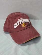 2019 Harry Potter Gryffindor Alumni Hat Strapback Baseball Cap OSFA Adjustable