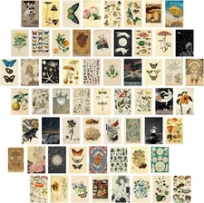 60 Vintage Postcards Set – Retro Botanical, Butterfly, Mushroom Ephemera Cards