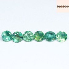  on The Hot Collector