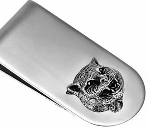 gucci gatto