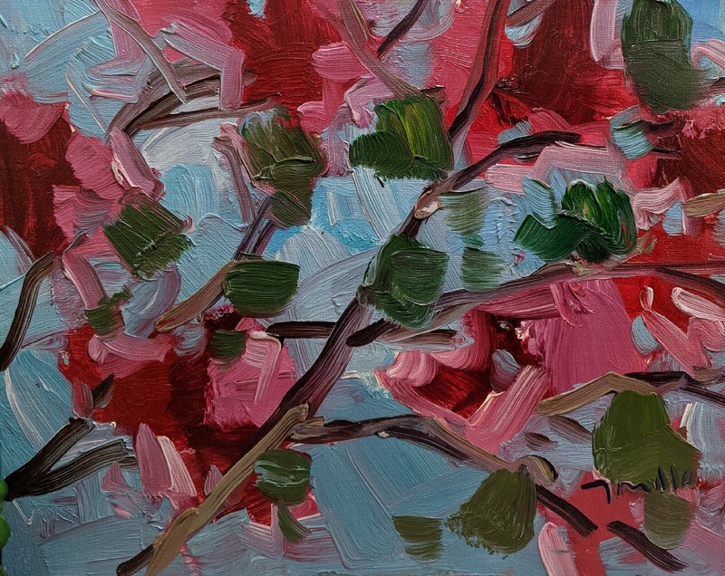 The Colors!  11x14 BOUGAINVILLEA JOSE TRUJILLO  (Moving Sale All Must Go)
